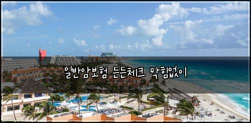 일반암보험 든든체크  막힘없이