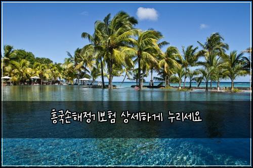 흥국손해정기보험 상세하게  누리세요