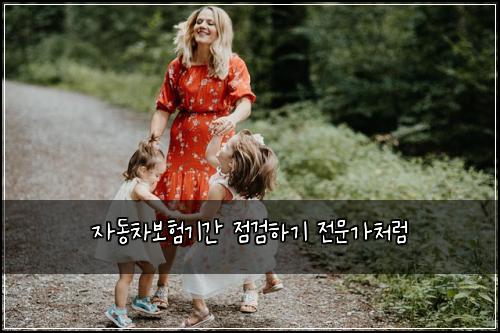 ์๋์ฐจ๋ณดํ๊ธฐ๊ฐ ์ ๊ฒํ๊ธฐ ์ ๋ฌธ๊ฐ์ฒ๋ผ