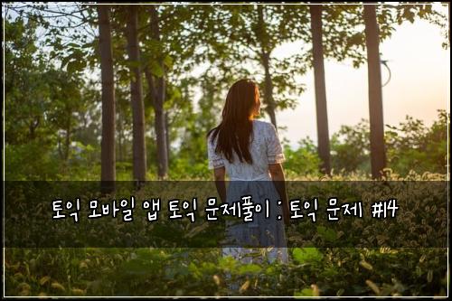 토익 모바일 앱 토익 문제풀이 : 토익 문제 #14