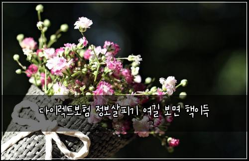 ๋ค์ด๋ ํธ๋ณดํ ์ ๋ณด์ดํผ๊ธฐ ์ฌ๊ธธ ๋ณด๋ฉด ํต์ด๋