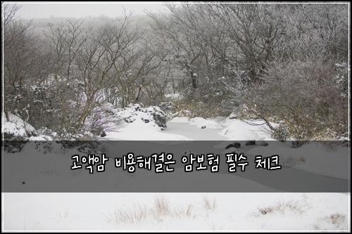 고액암 비용해결은 암보험 필수 체크