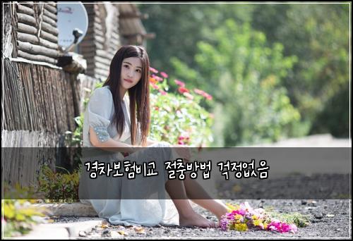 ๊ฒฝ์ฐจ๋ณดํ๋น๊ต ์ ์ถฉ๋ฐฉ๋ฒ ๊ฑฑ์ ์์