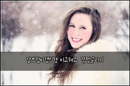 암보험비갱신형 비교해요 걱정날리기