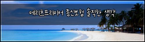 메리츠프리미어 종신보험 솔직한 생각