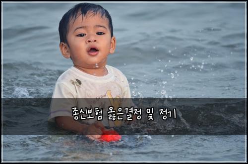 종신보험 옳은결정  및 정기