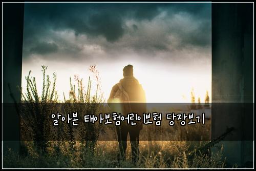 알아본 태아보험어린이보험 당장보기