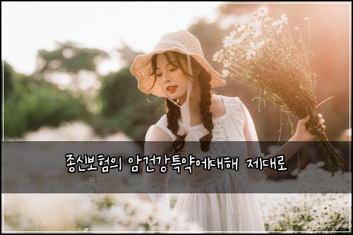 종신보험의 암건강특약에대해 제대로