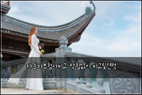 자동차보험사비교 막힘없이 비교및견적