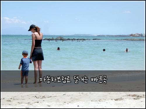 μλ차보νλ£ λλ΄λ λΉ λ₯Έκ³³