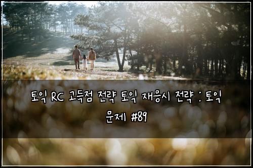 토익 RC 고득점 전략 토익 재응시 전략 : 토익 문제 #89