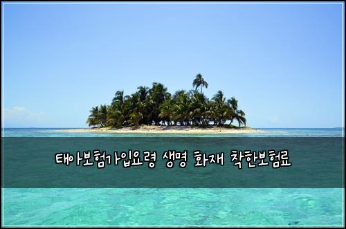 태아보험가입요령 생명 화재 착한보험료