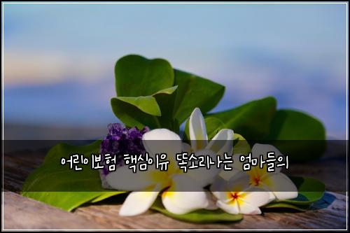 어린이보험 핵심이유  똑소리나는 엄마들의