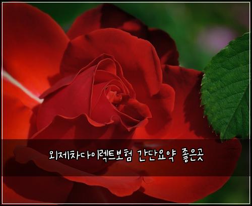 ์ธ์ ์ฐจ๋ค์ด๋ ํธ๋ณดํ ๊ฐ๋จ์์ฝ ์ข์๊ณณ
