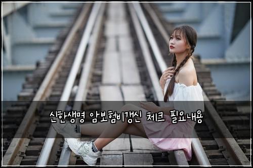 신한생명 암보험비갱신 체크 필요내용