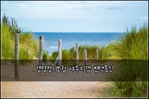 μλͺ
μ 기보ν μΌλ¬΄μ§κ²‘ λ³μ‘μ’
μ