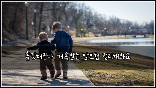 솔깃해진다 계속받는 암보험 정리해봐요 