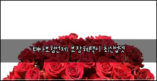 ํ์๋ณดํ์ธ์ ๋ณด์ฅํํ์ด ์ต์ ์
๋