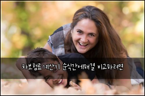 차보험료계산기 순식간에해결 비교하려면