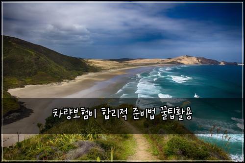 ์ฐจ๋๋ณดํ๋น ํฉ๋ฆฌ์ ์ค๋น๋ฒ ๊ฟํํ์ฉ