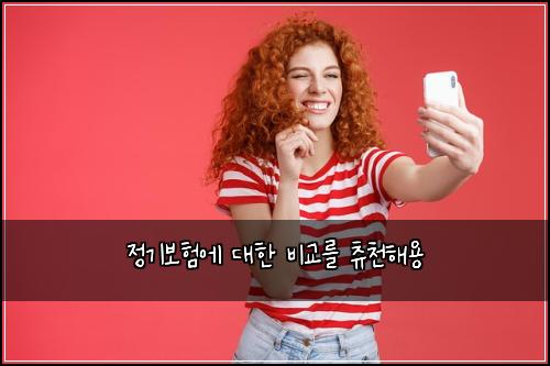 정기보험에 대한 비교를 츄천해용