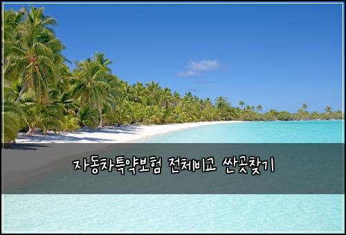 μλμ°¨νΉμ½λ³΄ν μ 체λΉκ΅ μΌκ³³μ°ΎκΈ°