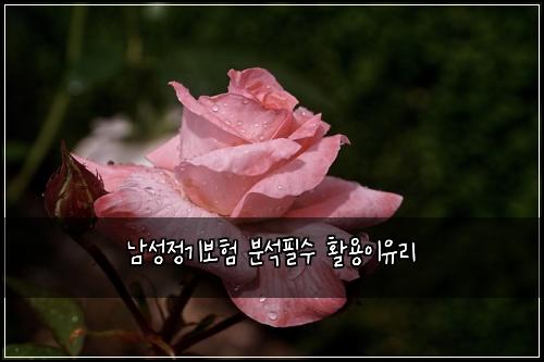 ๋จ์ฑ์ ๊ธฐ๋ณดํ ๋ถ์ํ์ ํ์ฉ์ด์ ๋ฆฌ