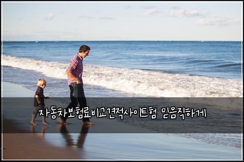 ์๋์ฐจ๋ณดํ๋ฃ๋น๊ต๊ฒฌ์ ์ฌ์ดํธํ ๋ฏฟ์์งํ๊ฒ