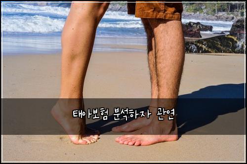 태아보험 분석하자  관연