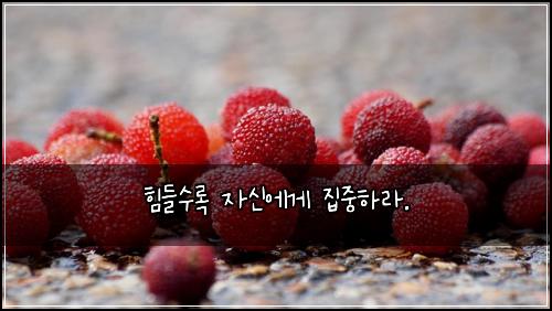 힘들수록 자신에게 집중하라.