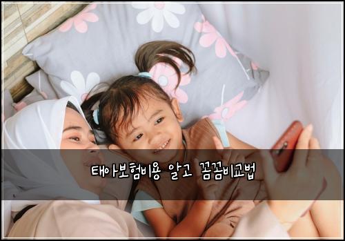 ํ์๋ณดํ๋น์ฉ ์๊ณ ๊ผผ๊ผผ๋น๊ต๋ฒ