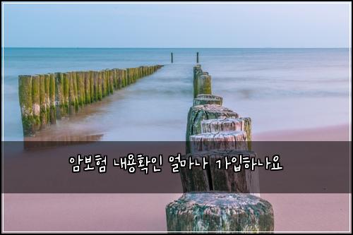 ์๋ณดํ ๋ด์ฉํ์ธ ์ผ๋ง๋ ๊ฐ์
ํ๋์
