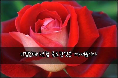 λΉκ°±μ νμ보ν μ€μνκ²μ λ°μ Έλ΄
μλ€
