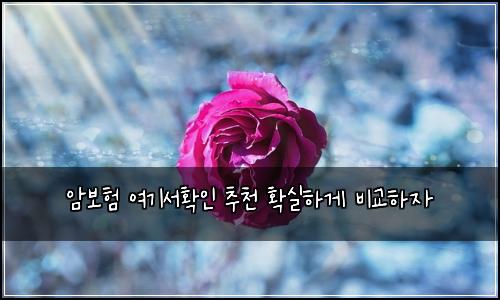 ์๋ณดํ ์ฌ๊ธฐ์ํ์ธ ์ถ์ฒ ํ์คํ๊ฒ ๋น๊ตํ์
