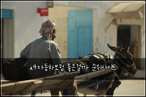 a4자동차보험 좋은걸까  순위사이트