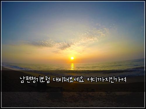 ๋จํธ์ ๊ธฐ๋ณดํ ๋๋นํด๋ณด์ธ์ ์ด๋๊น์ง์ธ๊ฐ์ฌ