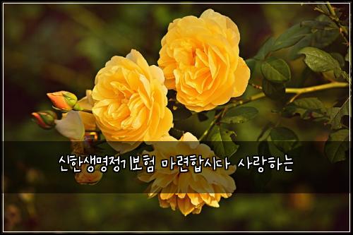 ์ ํ์๋ช
์ ๊ธฐ๋ณดํ ๋ง๋ จํฉ์๋ค ์ฌ๋ํ๋
