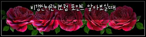 비갱신어린이보험 포인트  알아보실때