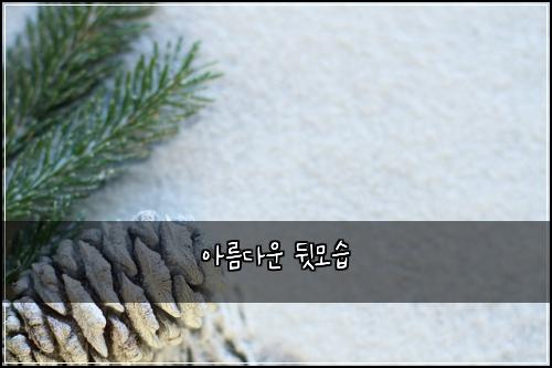아름다운 뒷모습