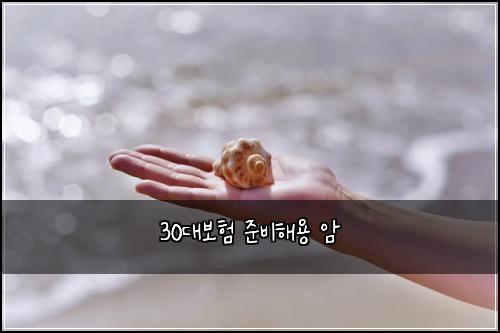 30๋๋ณดํ ์ค๋นํด์ฉ ์