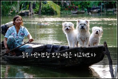๋๋ถ ์ด๋ฆฐ์ด๋ณดํ ๋ณด์ฅ๋ด์ฉ์ ๋น๊ตํด๋ณด์