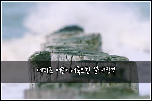 ๋ฉ๋ฆฌ์ธ ์ด๋ฆฐ์ด์ ์ถ๋ณดํ ์ค๊ณ์ ์