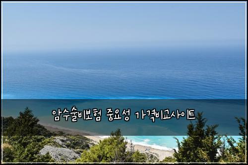 암수술비보험 중요성  가격비교사이트