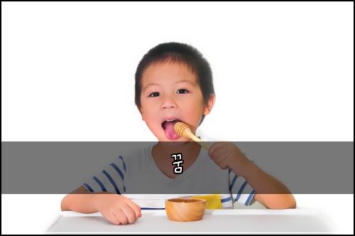 꿈
