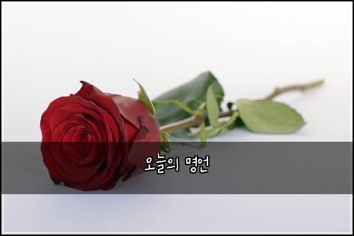 오늘의 명언