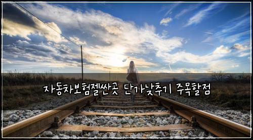 ์๋์ฐจ๋ณดํ์ ค์ผ๊ณณ ๋จ๊ฐ๋ฎ์ถ๊ธฐ ์ฃผ๋ชฉํ ์ 