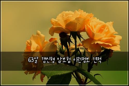63살 갱신형 암보험 이런정보  견적