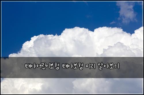 태아어린이보험 태아보험 미리 알아보기