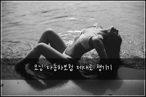 모닝 자동차보험 제대로 챙기기