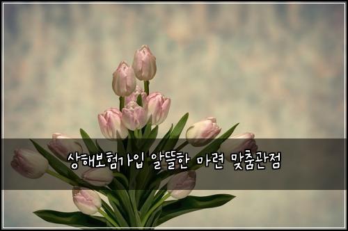 상해보험가입 알뜰한 마련 맞춤관점